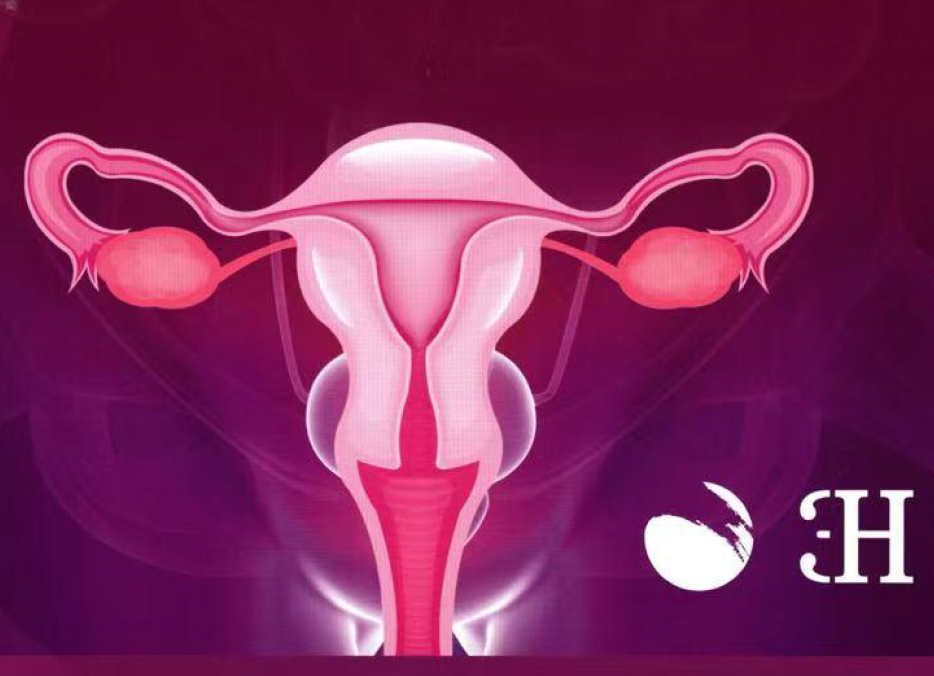 医用透明质酸钠凝胶